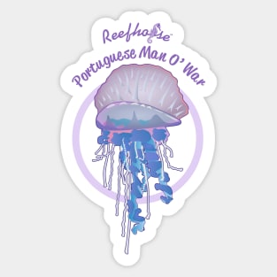 Portuguese Man O' War Sticker